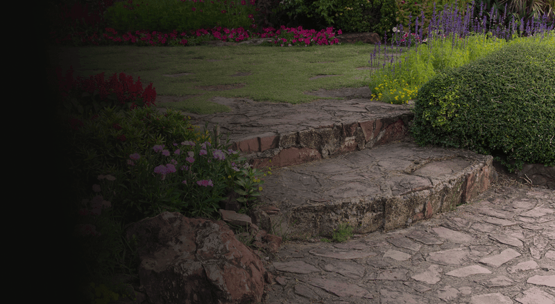 Professional lawn care and landscape maintenance